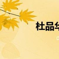 杜品华（关于杜品华的介绍）