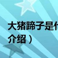 大猪蹄子是什么梗（关于大猪蹄子是什么梗的介绍）