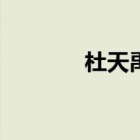 杜天禹（关于杜天禹的介绍）