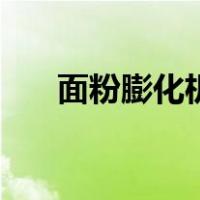 面粉膨化机（关于面粉膨化机的介绍）