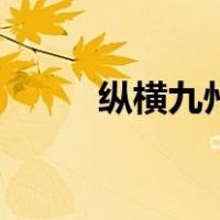 纵横九州（关于纵横九州的介绍）