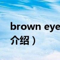 brown eyes girl（关于brown eyes girl的介绍）
