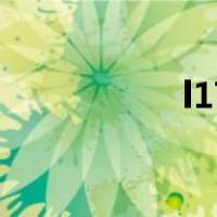 l17（关于l17的介绍）