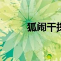 狐闹干探（关于狐闹干探的介绍）