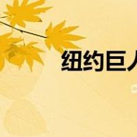 纽约巨人（关于纽约巨人的介绍）