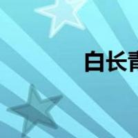 白长青（关于白长青的介绍）