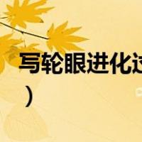 写轮眼进化过程（关于写轮眼进化过程的介绍）