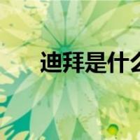 迪拜是什么（关于迪拜是什么的介绍）