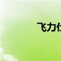 飞力仕（关于飞力仕的介绍）