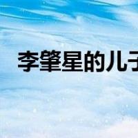 李肇星的儿子（关于李肇星的儿子的介绍）