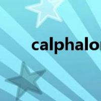 calphalon（关于calphalon的介绍）
