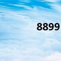 88995（关于88995的介绍）