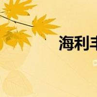 海利丰（关于海利丰的介绍）