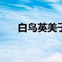 白鸟英美子（关于白鸟英美子的介绍）