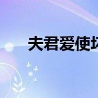 夫君爱使坏（关于夫君爱使坏的介绍）
