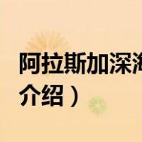 阿拉斯加深海鱼油（关于阿拉斯加深海鱼油的介绍）