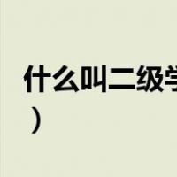 什么叫二级学院（关于什么叫二级学院的介绍）