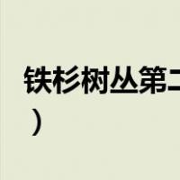 铁杉树丛第二季（关于铁杉树丛第二季的介绍）