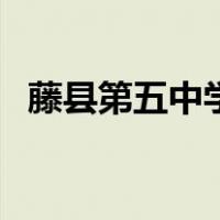 藤县第五中学（关于藤县第五中学的介绍）