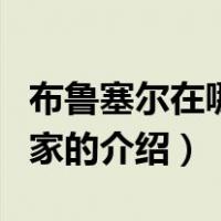 布鲁塞尔在哪个国家（关于布鲁塞尔在哪个国家的介绍）