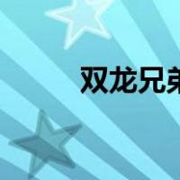 双龙兄弟（关于双龙兄弟的介绍）