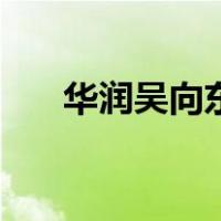 华润吴向东（关于华润吴向东的介绍）