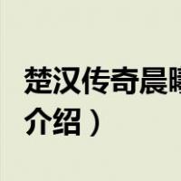 楚汉传奇晨曦公主（关于楚汉传奇晨曦公主的介绍）