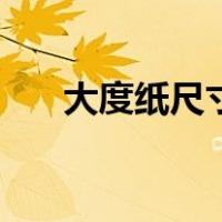 大度纸尺寸（关于大度纸尺寸的介绍）