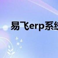 易飞erp系统（关于易飞erp系统的介绍）