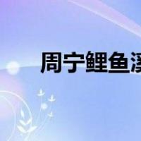 周宁鲤鱼溪（关于周宁鲤鱼溪的介绍）