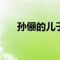 孙俪的儿子（关于孙俪的儿子的介绍）