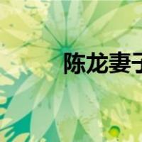 陈龙妻子（关于陈龙妻子的介绍）