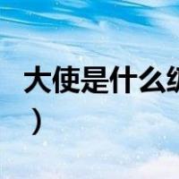 大使是什么级别（关于大使是什么级别的介绍）