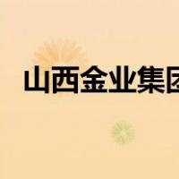 山西金业集团（关于山西金业集团的介绍）