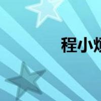 程小烦（关于程小烦的介绍）
