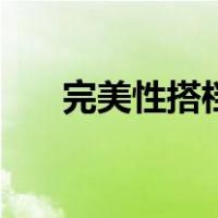 完美性搭档（关于完美性搭档的介绍）