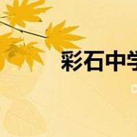 彩石中学（关于彩石中学的介绍）