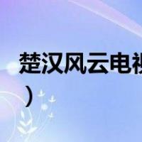 楚汉风云电视剧（关于楚汉风云电视剧的介绍）
