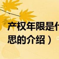 产权年限是什么意思（关于产权年限是什么意思的介绍）