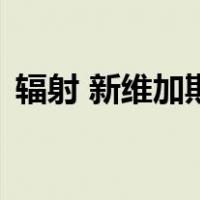 辐射 新维加斯（关于辐射 新维加斯的介绍）