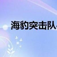 海豹突击队4（关于海豹突击队4的介绍）
