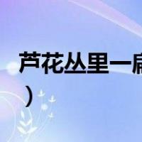 芦花丛里一扁舟（关于芦花丛里一扁舟的介绍）