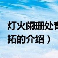 灯火阑珊处青衫落拓（关于灯火阑珊处青衫落拓的介绍）