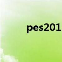 pes2011（关于pes2011的介绍）