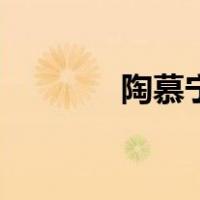 陶慕宁（关于陶慕宁的介绍）