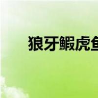 狼牙鰕虎鱼（关于狼牙鰕虎鱼的介绍）