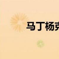 马丁杨克（关于马丁杨克的介绍）