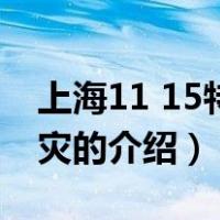 上海11 15特大火灾（关于上海11 15特大火灾的介绍）