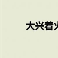 大兴着火（关于大兴着火的介绍）