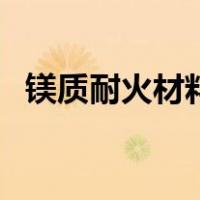镁质耐火材料（关于镁质耐火材料的介绍）
